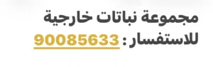 1-حقيبة حيوان اليف صغيرة الحجم ( تصلح للقطط صغار الحجم) السعر10  2-مجموعة نباتات خارجيه للبيع عالنوع