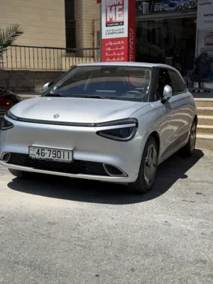 dong feng 2025
