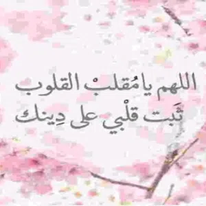 محمد 