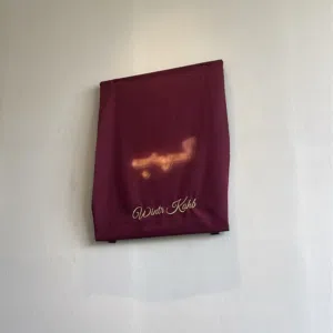 فيصل المطيري 