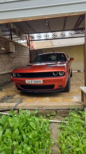 چالنجر 2023  رقم بصرة