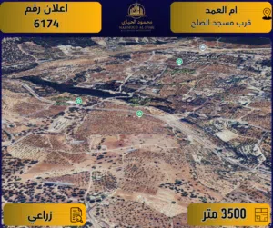 اعلان رقم  ( 6174 ) أرض للبيع في أم العمد / قرب مسجد الصلح – زراعي / 3500 م
