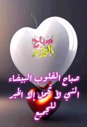 Omar Sokne 