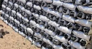 موزع فحم زيتوان جمله