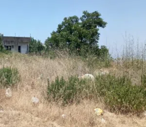 Land for Sale in Abey – 750 m2
