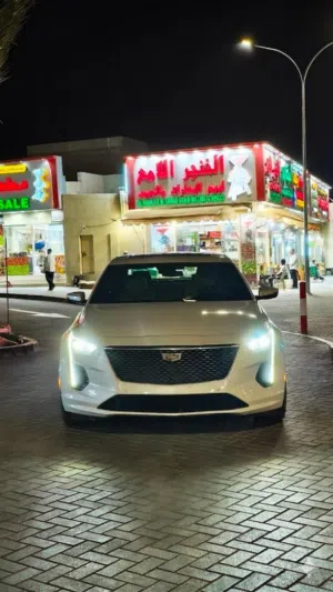 كاديلك CT6  2019 قمه ف النظافه السياره استعمال شخصي بدون مشاكل
