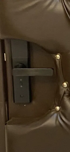 للبيع مقبض يد باب الذكي بصمة وكمان العازل الصوتي