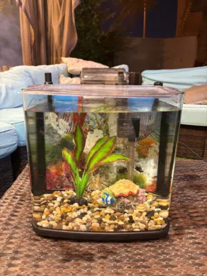 حوض سمك/سلحفاة متوسط الحجم استخدام بسيط