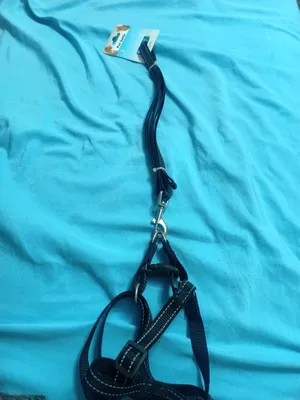 Accessories . Dogs4