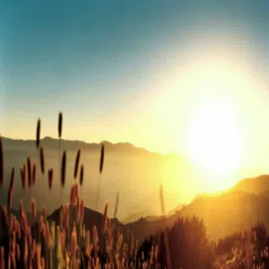 Abdul Karim Karim Karim