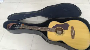 Guitar ibanez SGT 110