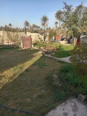 Farm Land for Sale in Karbala Other