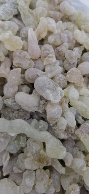 لبان الذكر للعلاج والاكل والشرب رقم واحد اخضر حبات كبيره ممتاز سعر مميز