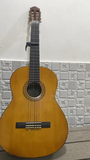 للبيع جيتار c40