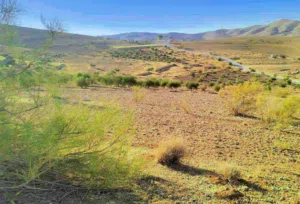 Farm Land for Sale in Zarqa Birayn