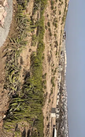 مفرق ماويه خلف الصالح اراضي للبيع على 300ألف واقل