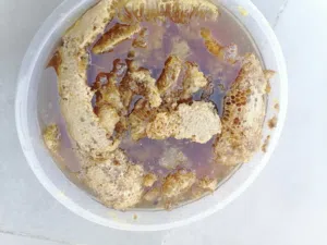 عسل بوطويق سدر