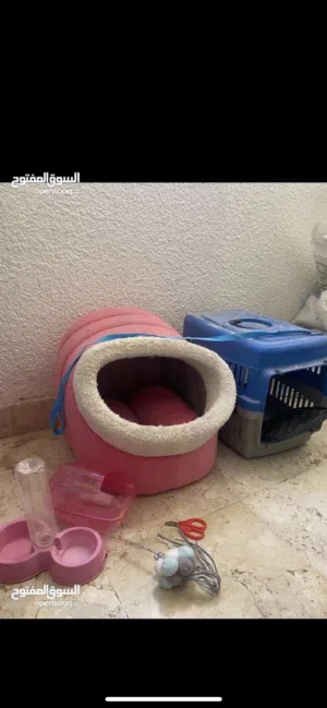 أشياء قطط جديده وكالههه شبه جديد