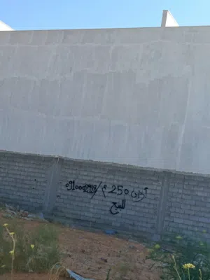 250 متر للبيع الكحيلي بالقرب من الكاتب للسجاد