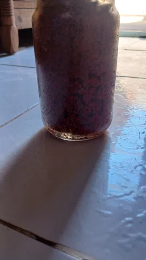 صلصه بت الطيب .صناعه محليه .طعمها حلو 100 /100. محضر بي افضل الطرق. كفايه الطعم حكايه جرب وم حتندم