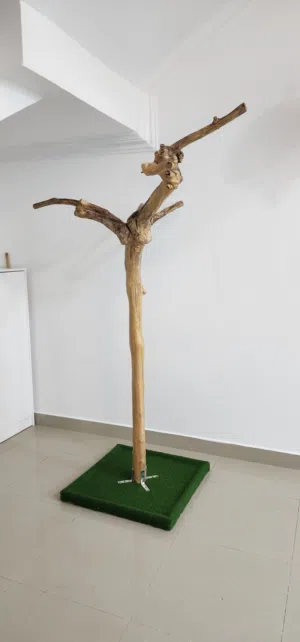 استاند خشب للببغاوات طول 120cm