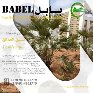 تنسيق وتنفيذ الحدائق والمنتزهات ورعايتها