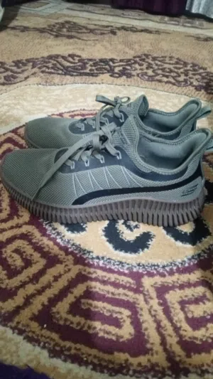 بوت رياضه سكتشر