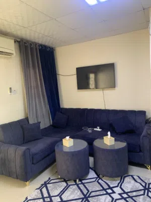 Luxury L-Shape Sofa Set for Sale
