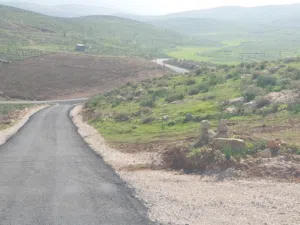 Farm Land for Sale in Mafraq Dahl