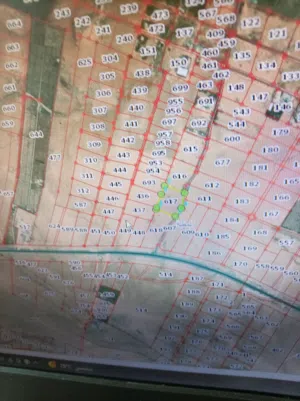 Farm Land for Sale in Amman Al-Muwaqqar