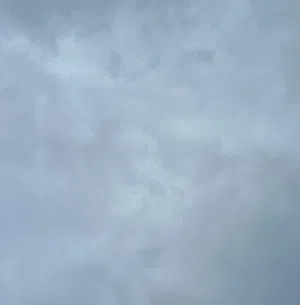 سعود 