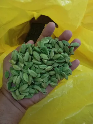 Others - Food - Supplements0