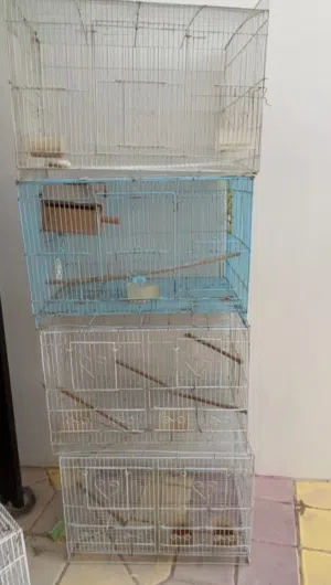 للبيع أربع أقفاص مستعمله