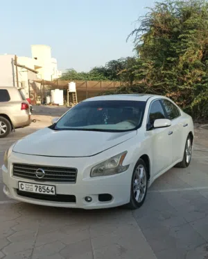 Used Nissan Maxima in Ras Al Khaimah