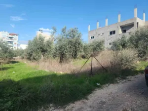 سكنية . 585 م٢ . الوسيط4