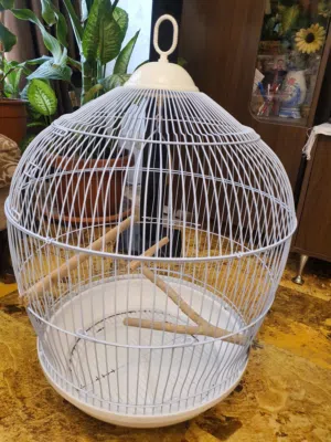 قفص عصافير birdcage