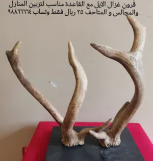 تحف لتزيين المنازل والمجالس و المتاحف