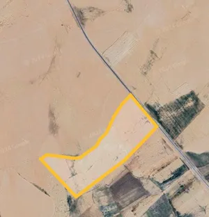 Farm Land for Sale in Oujda Other