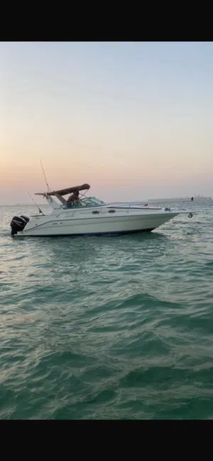 Sea ray sundancer 290 250x2 mercury EFI