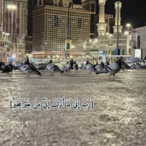 مغوار اليمن 