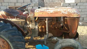 1980 Tractor Agriculture Equipments in Wadi Shatii