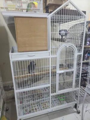 house design big size bird cage