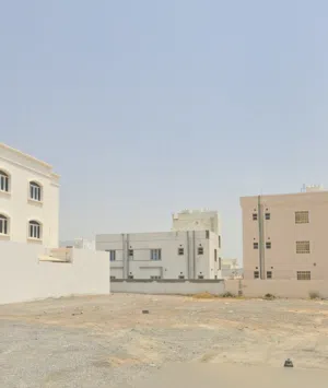 ارض المعبيلة الجنوبيه العاشرة
