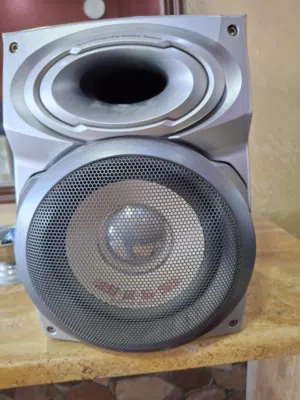 صب هوفر بايونير