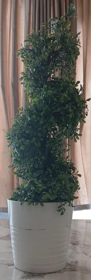 ورد مطلوب فيه 15