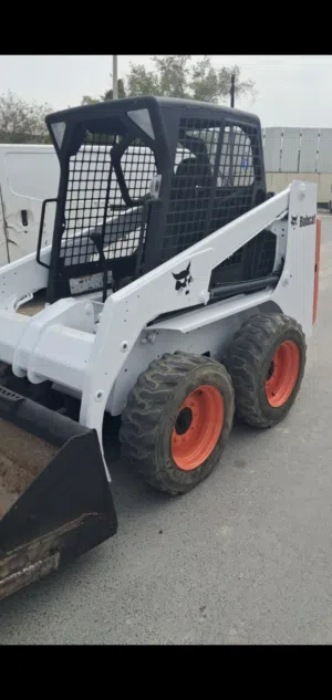 Bobcat for sale