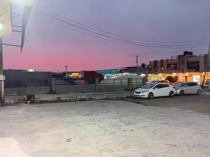 عبد الله محمود