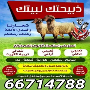 قصاب تحت الطلب