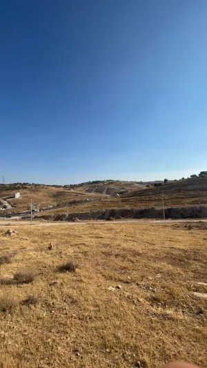 Residential Land for Sale in Zarqa Birayn