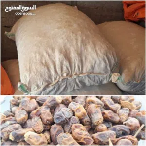 للبيع تمر نفيعة محلي – إنتاج 2025